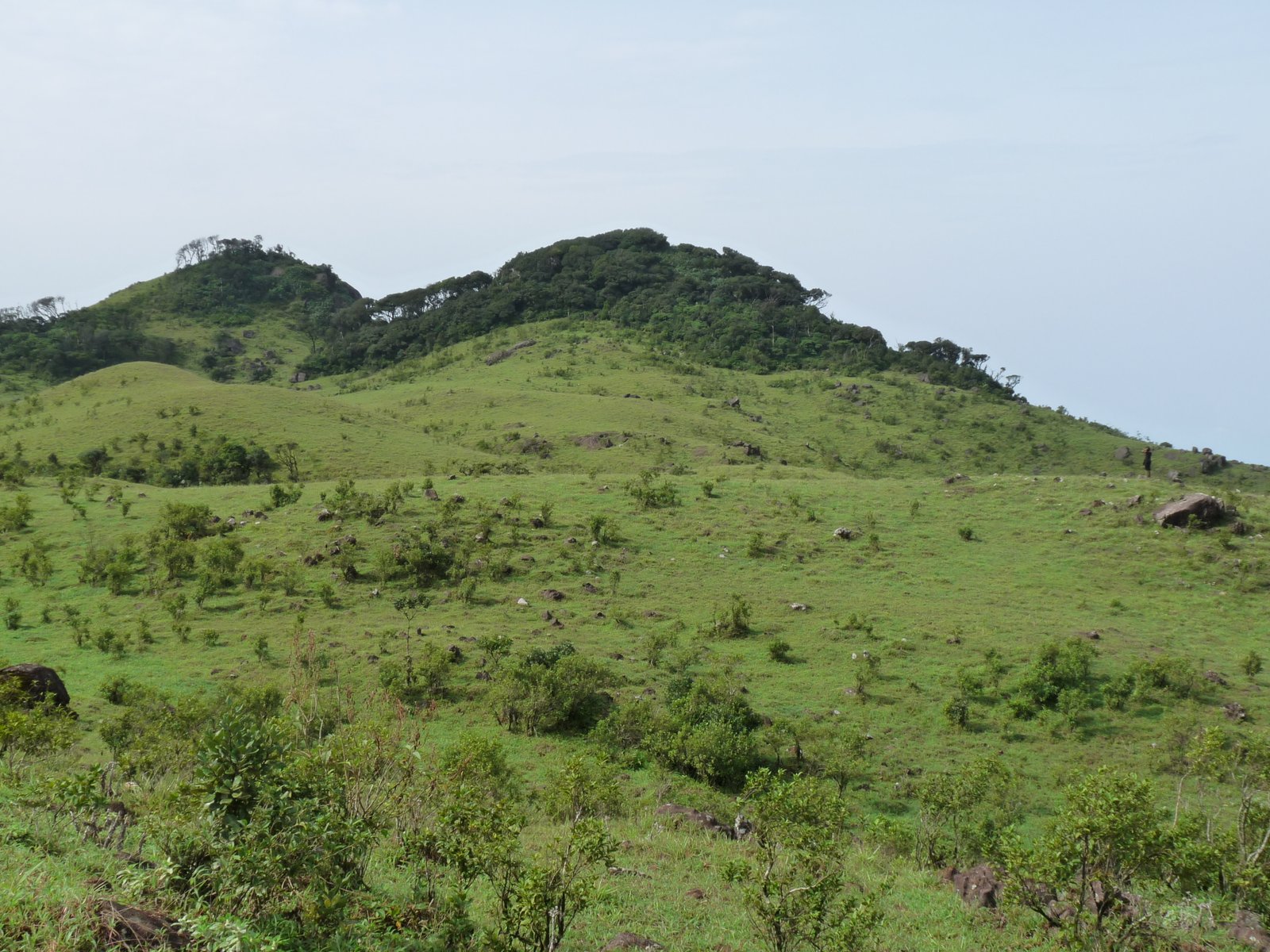 DZUMSA
